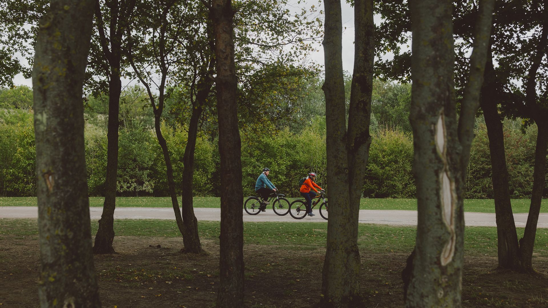 People cycling in woods